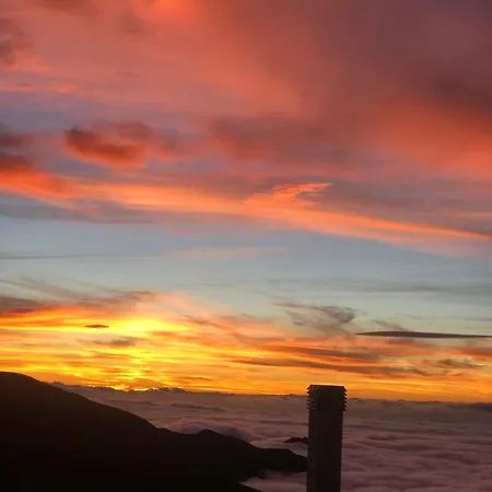 House Terraza Premium 1 6px *