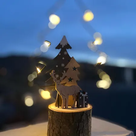 Apartamento House Terraza Premium 1 6px *