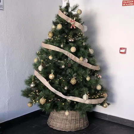 House Terraza Premium 1 6px Apartamento *