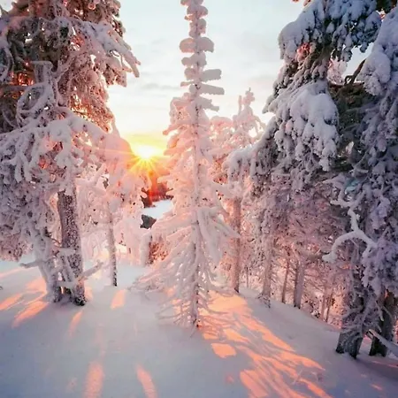 House Terraza Premium 1 6px Apartamento *