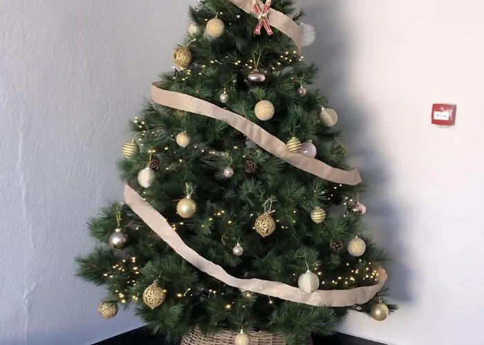 House Terraza Premium 1 6px Parking Gratis Apartment *